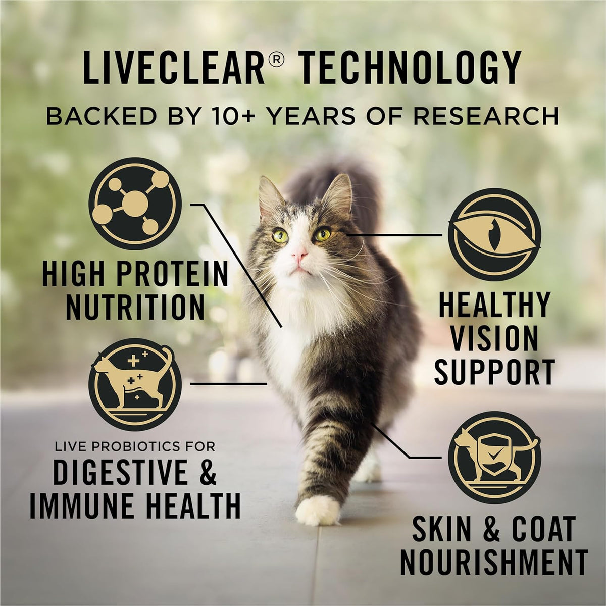 Purina Pro Plan Liveclear Chicken Dry Cat Food - 7 lb, Allergen Reducing Formula for Happy, Healthy Cats