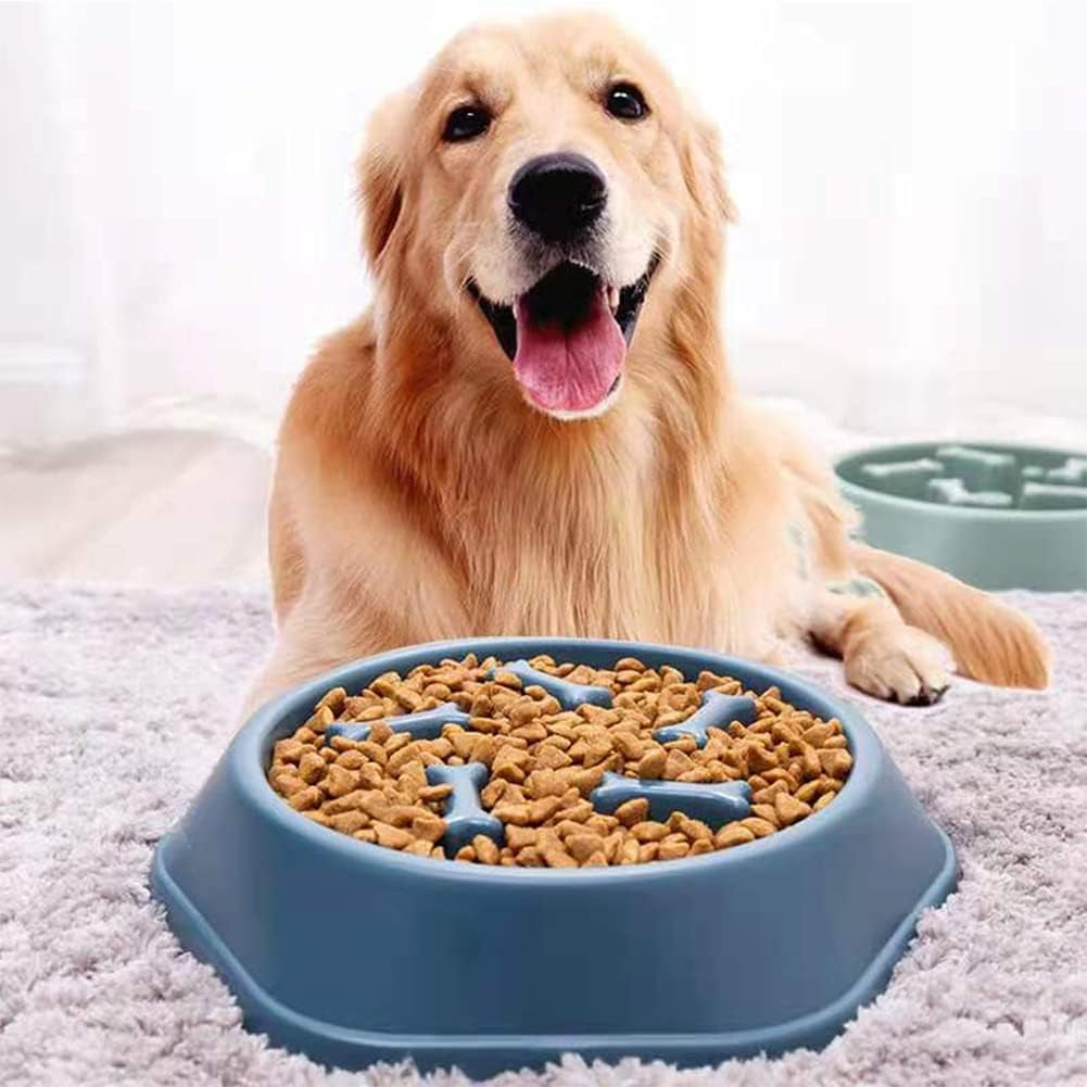 Cenkinfo Slow Feeder Dog Cat Bowl, Durable Non Skid Pet Bowl Preventing Choking Healthy Design Bowls for Medium/Small Dogs Cats,Blue