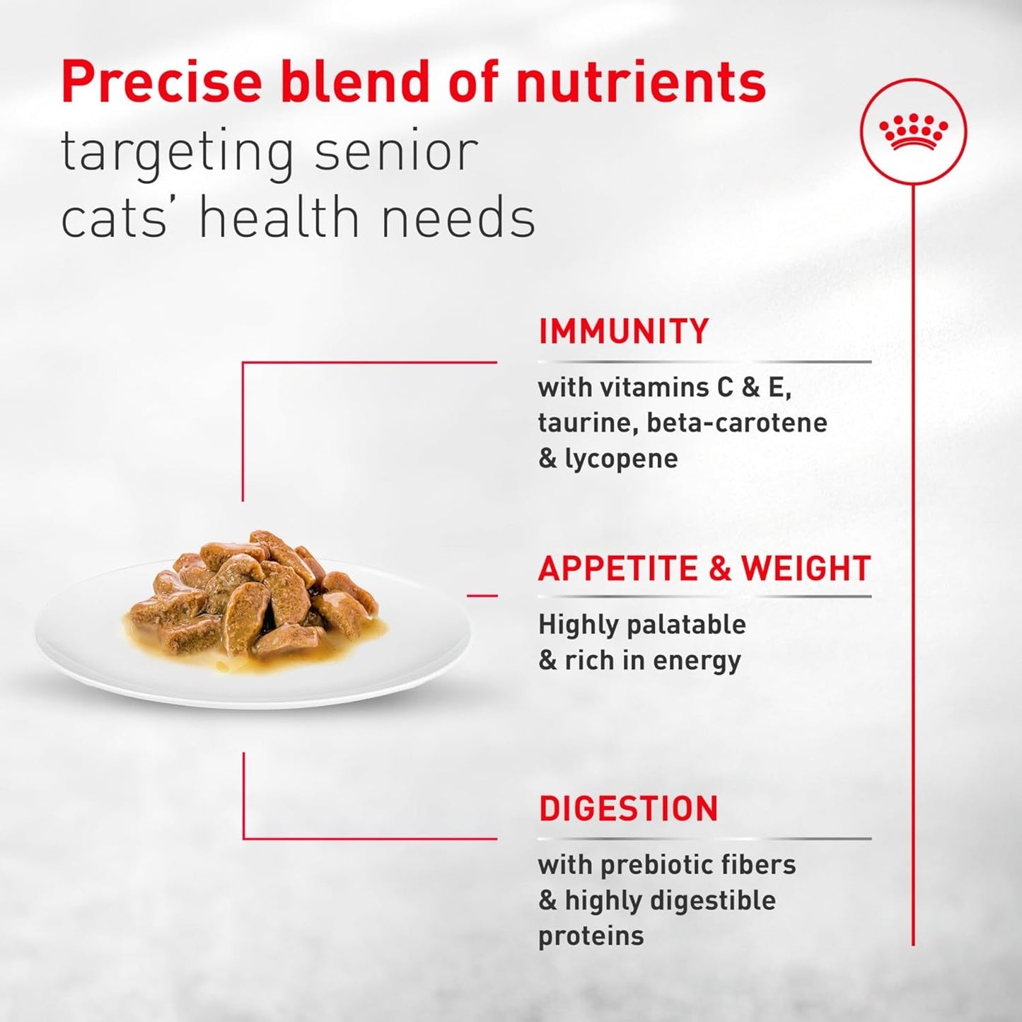 Senior Cat Wet Food 11+ Royal Canin Aging Thin Slices Gravy 3oz 12 Pack