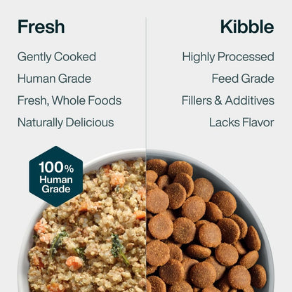 Pantry Fresh Wet Dog Food, Complete Meal or Dog Food Topper, Beef & Russet Potato Human Grade Dog Food Recipe - 12.5 Oz (Pack of 6) | Fresh Pet Meal or Fresh Dog Food Topper, Human Grade Recipe Made with Whole Foods, Preservative-Free, 12.5 Oz per Pack