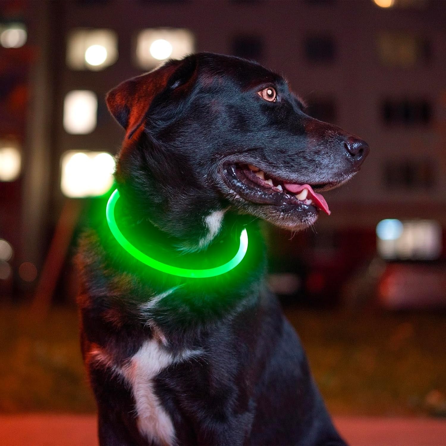 Led Dog Collar,  USB Rechargeable Flash Light up Dog Collar | Pet Safety Necklace Makes Your Beloved Dogs Be Seen at Night for Small Medium Large Dogs(Green)