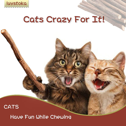 Silvervine Sticks for Cats 10PCS, Silvervine & Matatabi Catnip Toys, Indoor Kitty Chew Sticks & Wand Toys for Bored Cats