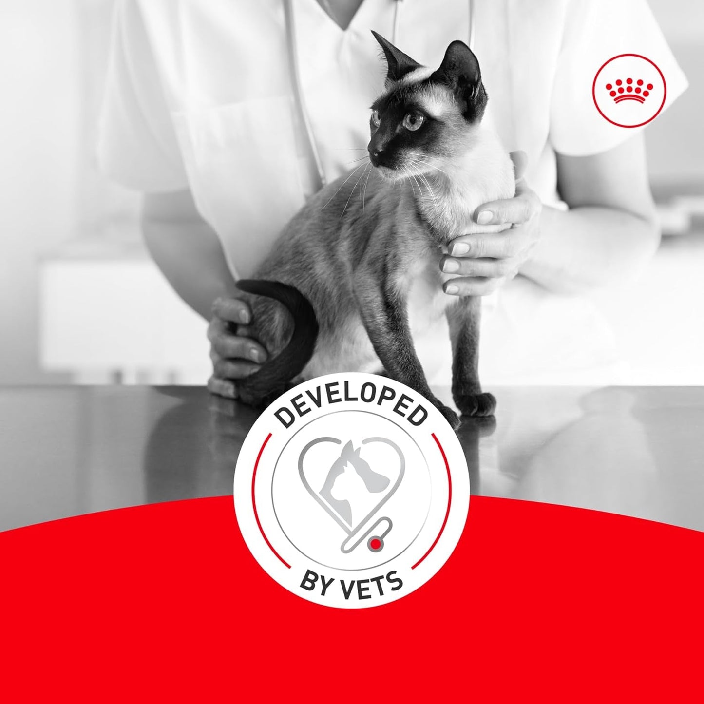 Senior Cat Wet Food 11+ Royal Canin Aging Thin Slices Gravy 3oz 12 Pack