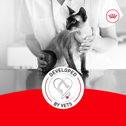 Senior Cat Wet Food 11+ Royal Canin Aging Thin Slices Gravy 3oz 12 Pack