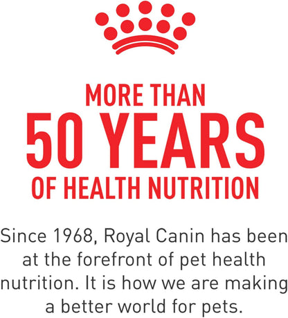 Senior Cat Wet Food 11+ Royal Canin Aging Thin Slices Gravy 3oz 12 Pack