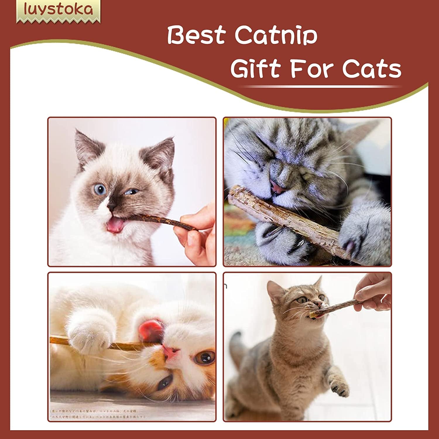 Silvervine Sticks for Cats 10PCS, Silvervine & Matatabi Catnip Toys, Indoor Kitty Chew Sticks & Wand Toys for Bored Cats
