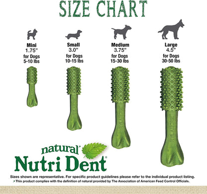 Nutri Dent Dog Dental Treats - Natural Dog Teeth Cleaning & Breath Freshener - Dental Treats for Dogs - Fresh Breath Flavor, Medium (40 Count) | for Medium Dogs 15-30 Lbs, Natural Dog Dental Chews, Helps Clean Teeth & Freshen Breath, Usa-Made, Vet Recommended