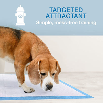 Wee-Wee Superior Performance Dog Pee Pads, 200 Count | Quilted Leak-Proof Puppy Pads, Dog Housebreaking & Potty Training, 24-Hour Floor Protection, Pet Supplies, 22" X 23"