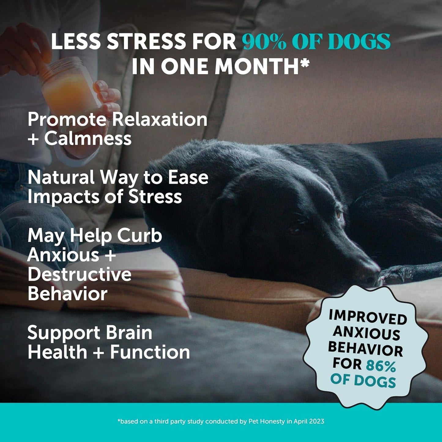 Dog Calming Bundle Hemp Calming Chews & Dental Sticks Anxiety Support