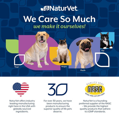 Dog Multivitamin Soft Chews 10 in 1 Joint Skin Digestion Immune 60ct