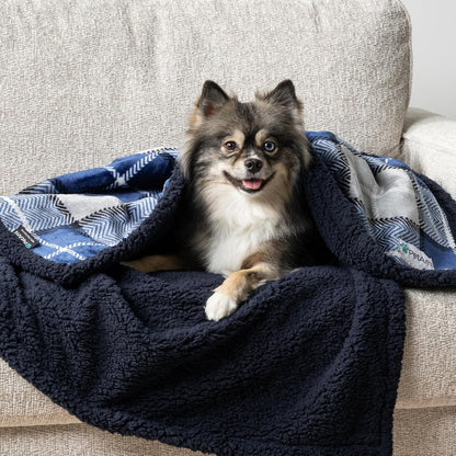 Waterproof Dog Blanket for Small Puppy Cat, 29X40, Plaid Light Grey | 460 GSM Sherpa Fleece Reversible, Pee Proof Pet Blanket, Furniture Protector Cover for Couch Sofa Kennel Crate, Washable